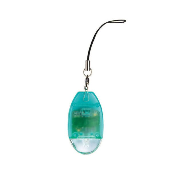 Key Ring Phone and Wireless Camera Detector