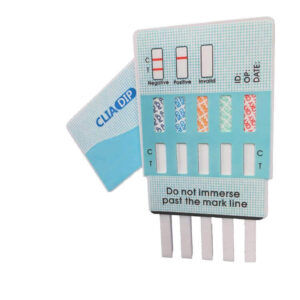 10 Panel Urine Dip Drug Test