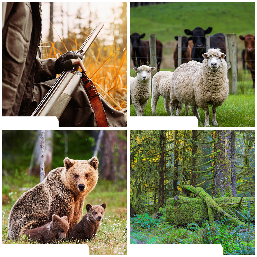 4G Trail Camera Solar 15600mAh - Image 6