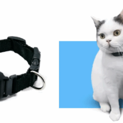 Pet GPS Tracker